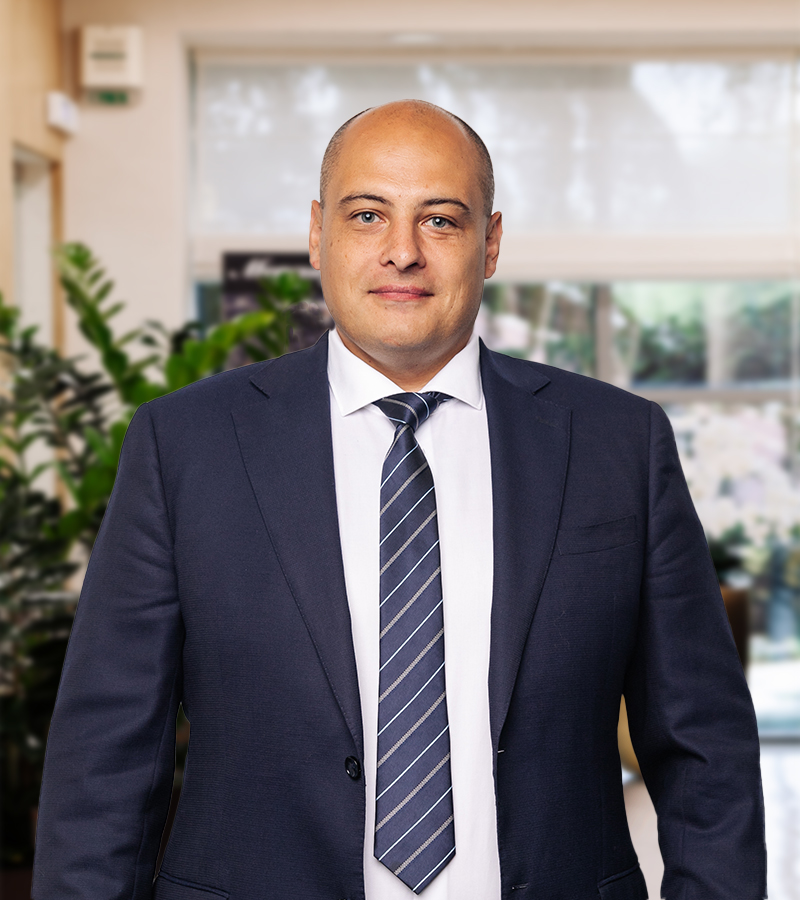 Дмитрий Белинский-Вейланд 